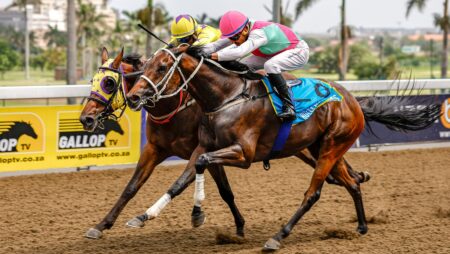 07/02 Horse Racing Tips Fairview + Greyville Poly