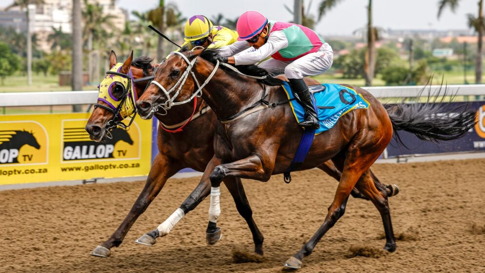 07/02 Horse Racing Tips Fairview + Greyville Poly