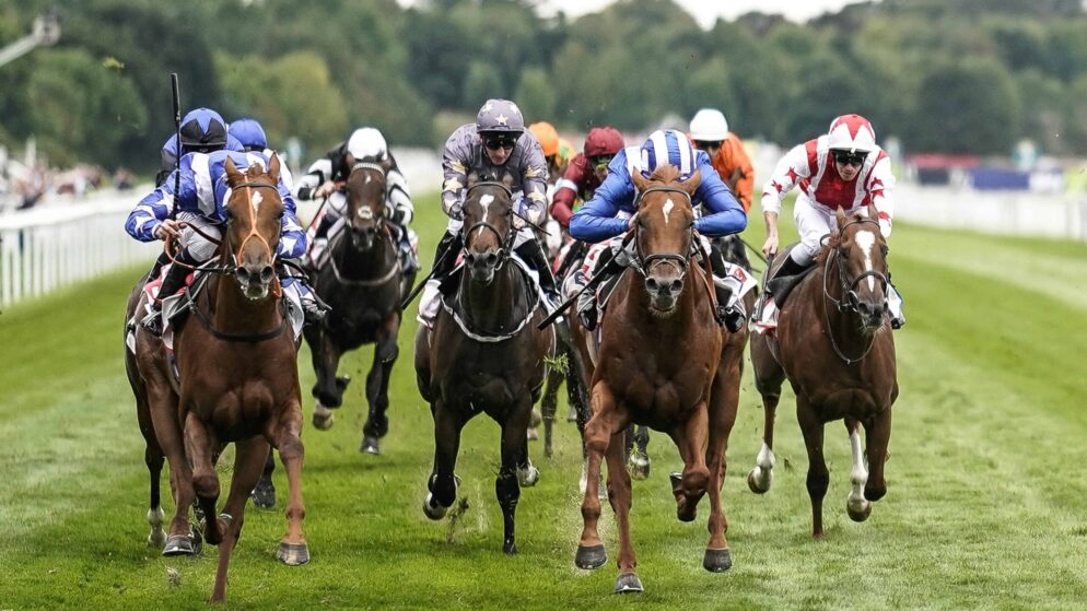 15/05 Horse Racing Predictions