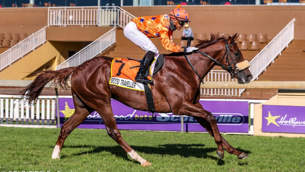 02/02 Horse Racing Tips Scottsville