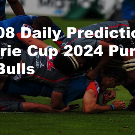 16/08 Daily Predictions Currie Cup 2024 Pumas vs Bulls