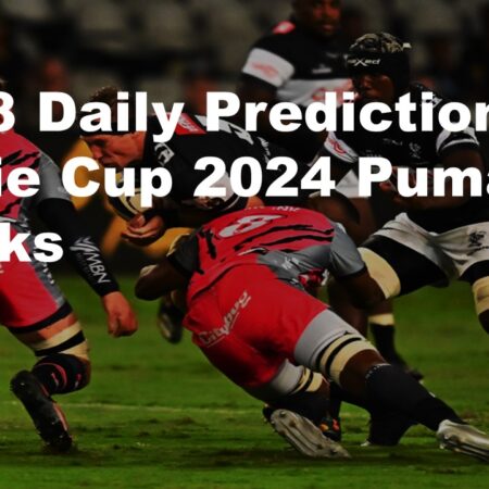 03/08 Daily Predictions Currie Cup 2024 Pumas vs Sharks