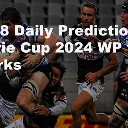 24/08 Daily Predictions Currie Cup 2024 WP vs Sharks