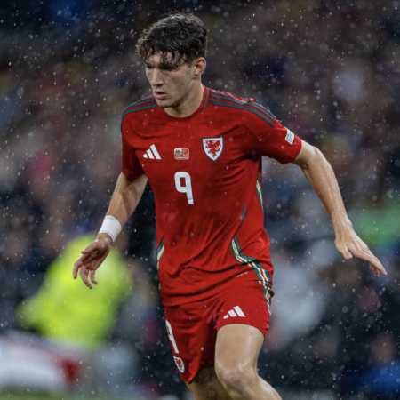 11/10 Iceland vs Wales Prediction, Team News, Stats & Other Tips