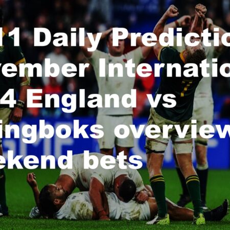 16/11 Daily Predictions November Internationals 2024 England vs Springboks overview + 6 weekend bets