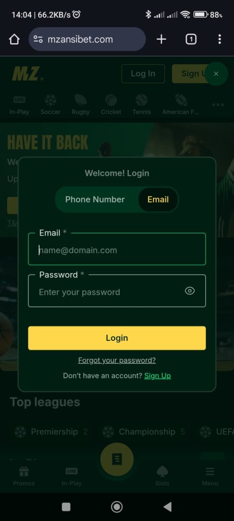 Enter your email/phone number and password