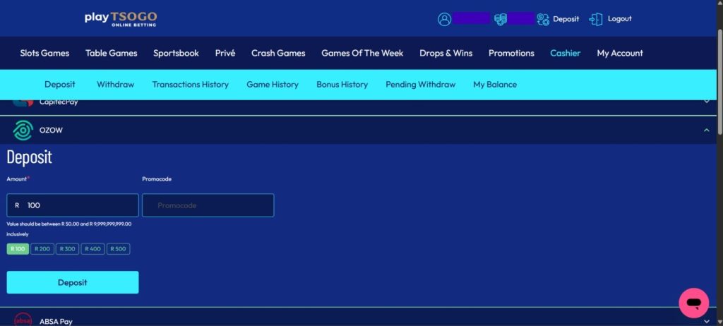 Enter the deposit method, deposit amount and any promo codes when making a deposit into playTSOGO